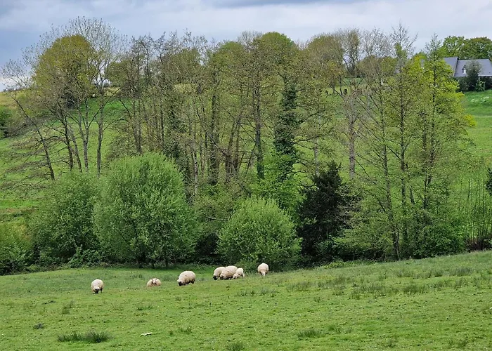 Maison Calme Avec Et Beau Paysage, A 40mn Des Plages * Saint-Jean-de-Livet